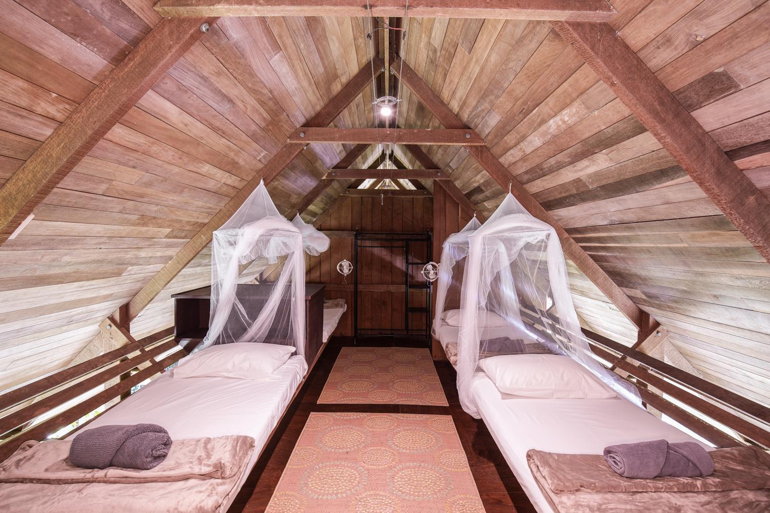 Villa Noah Creek Eco Huts Cape Tribulation Exterior foto