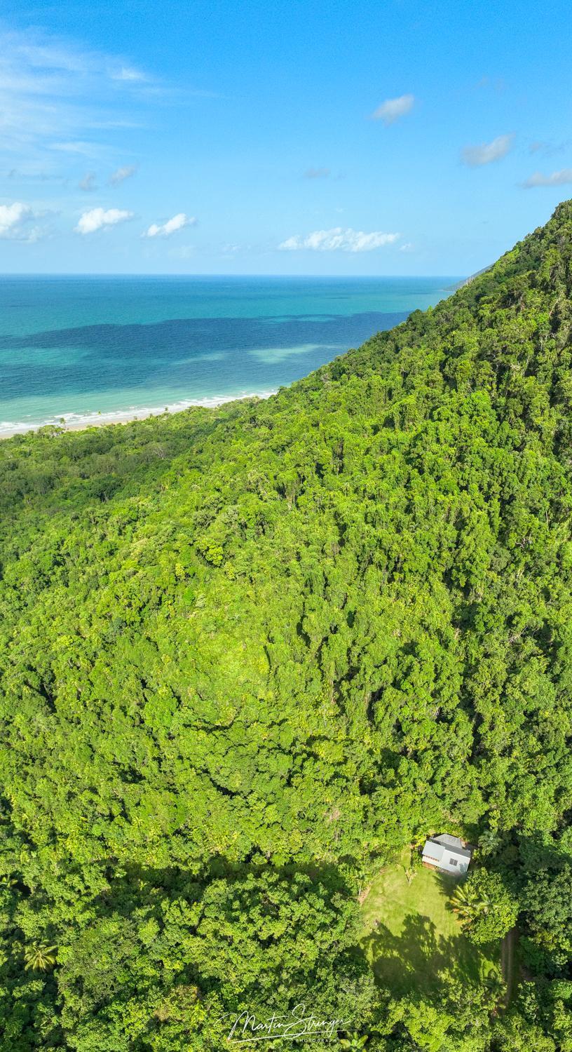 Villa Noah Creek Eco Huts Cape Tribulation Exterior foto