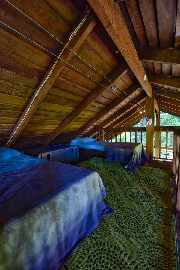 Villa Noah Creek Eco Huts Cape Tribulation Exterior foto